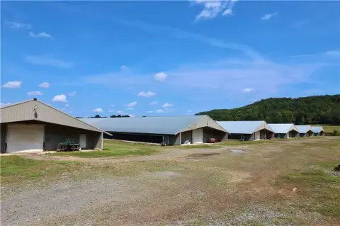 Poultry Farm with Broiler Houses