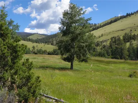 Mountain Land with Year-Round Creek