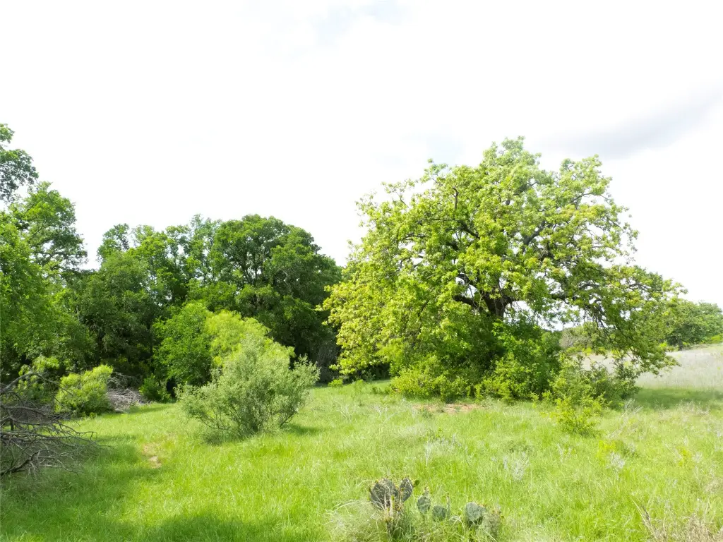Picture 19