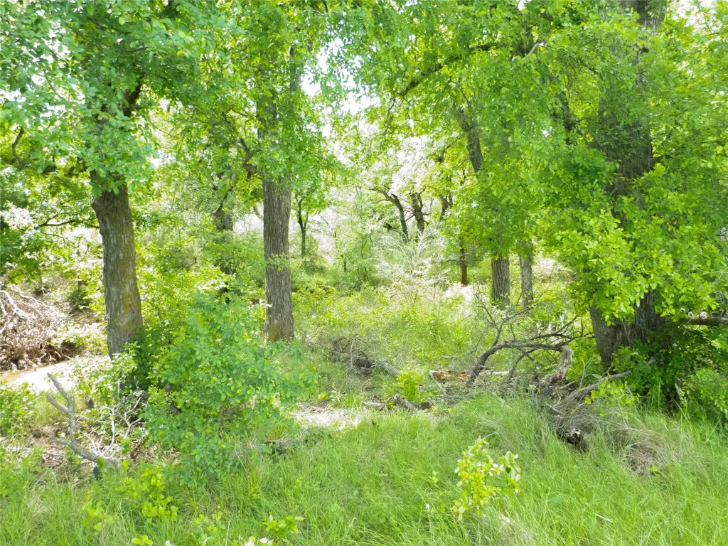 Picture 17