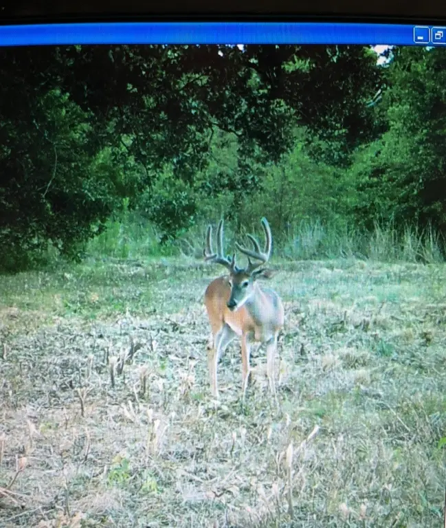Picture 36