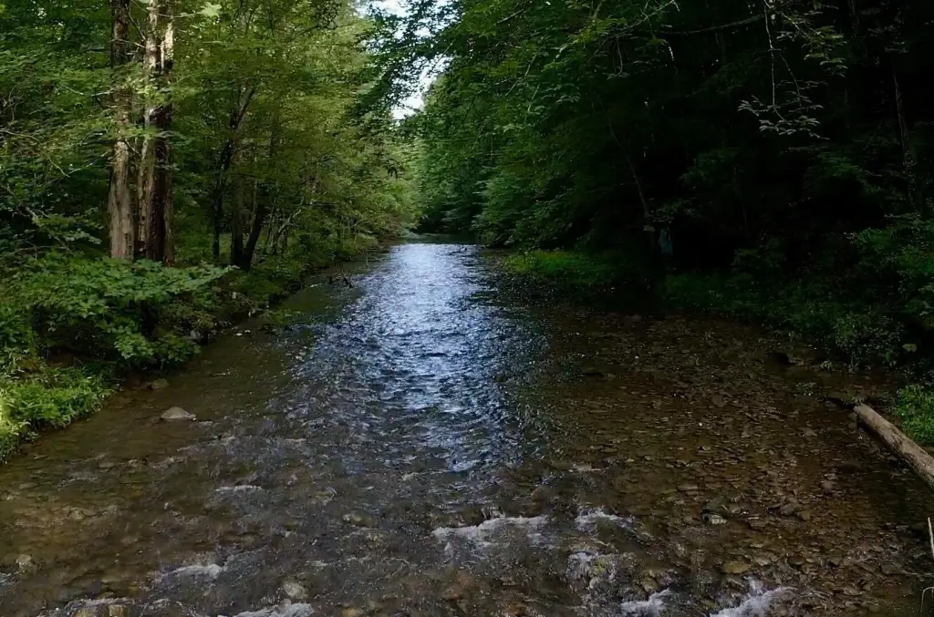 Picture 11