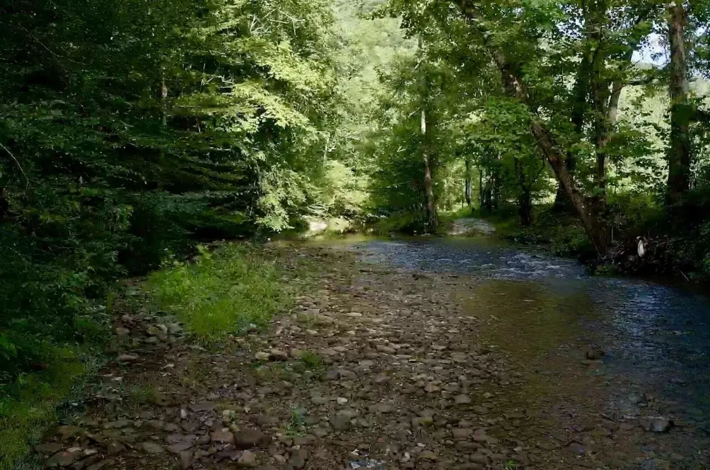 Picture 14