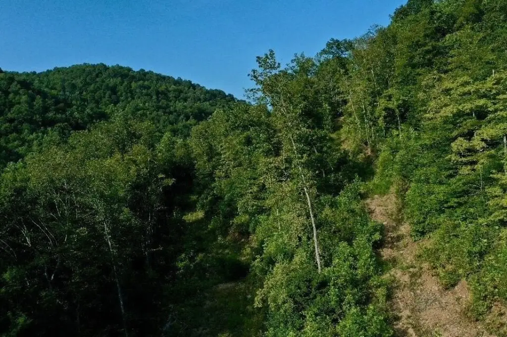 Picture 7