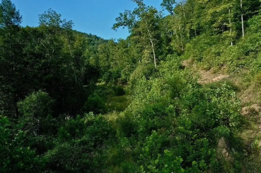 Picture 19