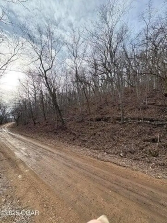 Picture 15