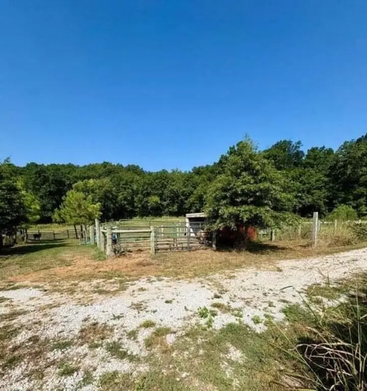 Picture 19