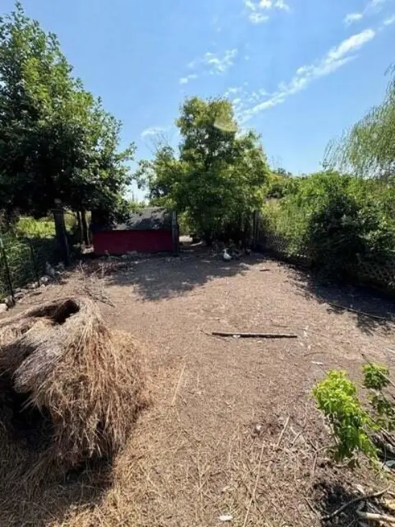 Picture 24