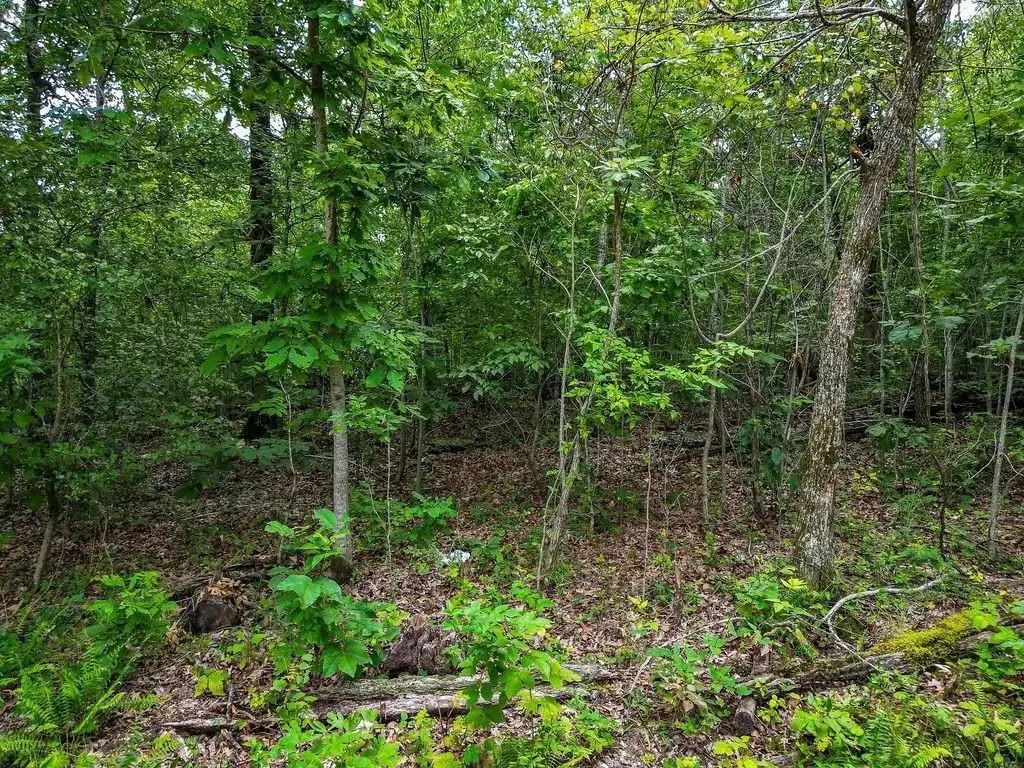 Picture 5