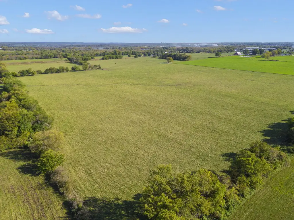 Picture 13
