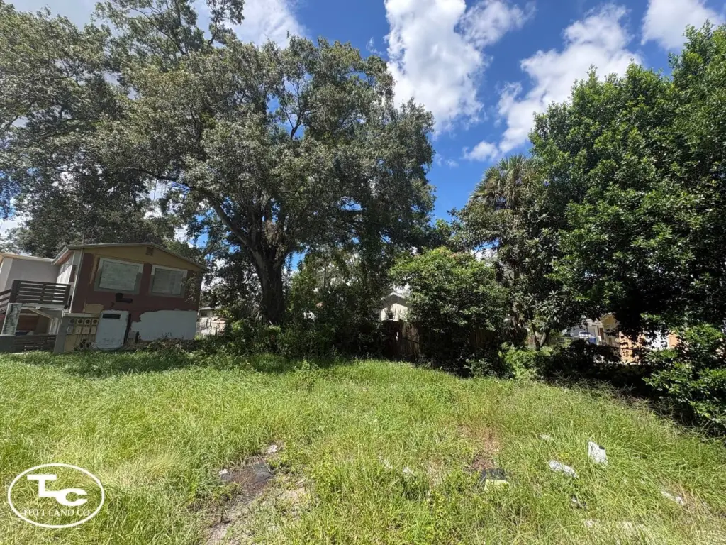 Picture 23