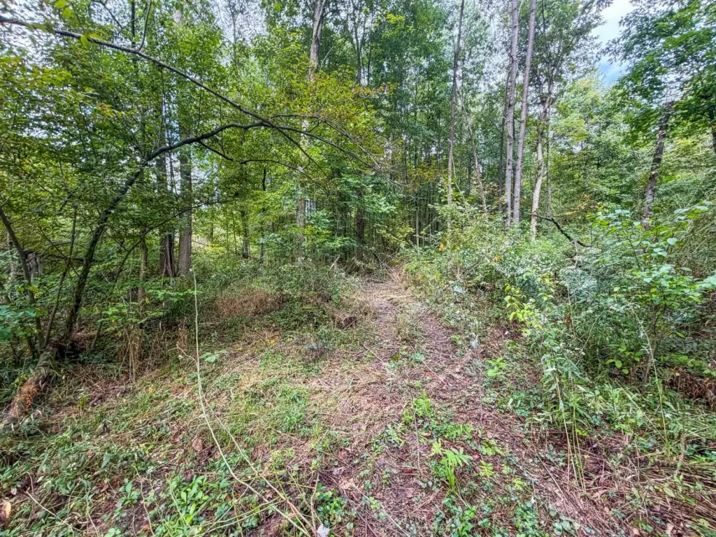 Picture 28