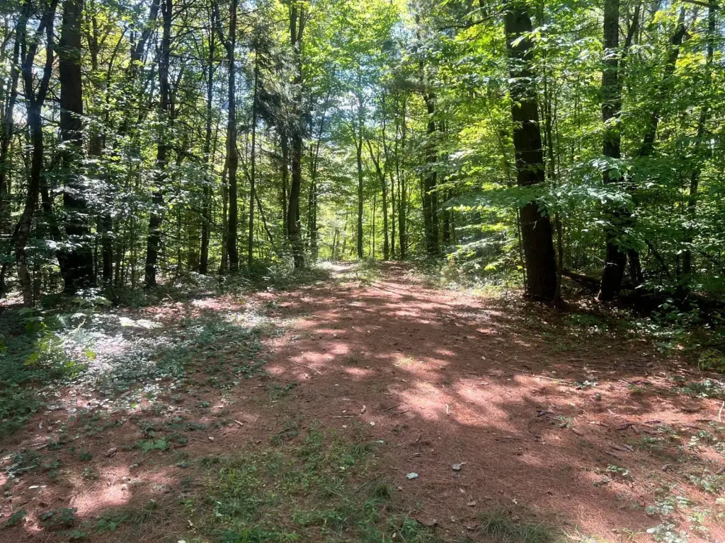 Picture 18