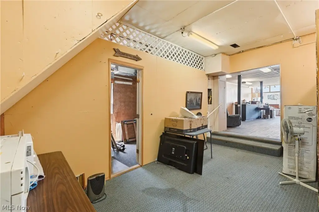 Picture 8