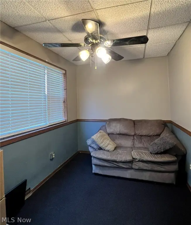 Picture 11