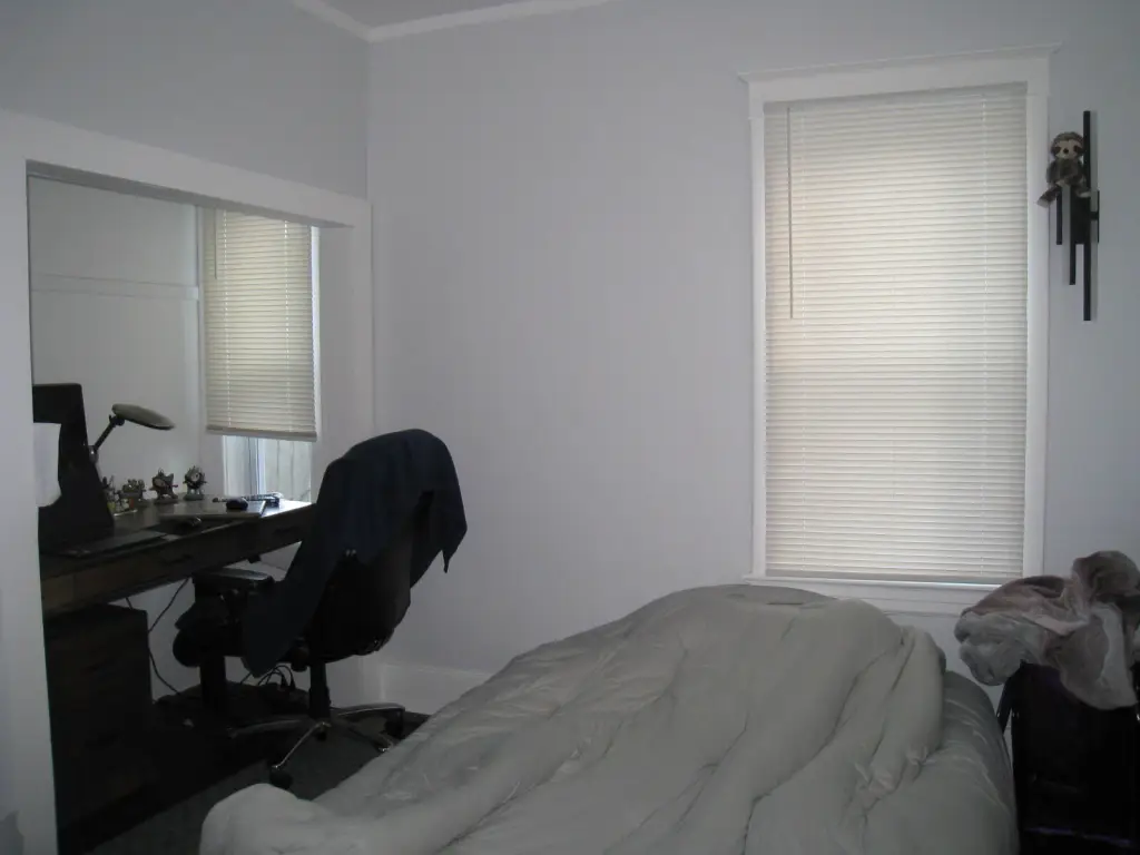 Picture 8