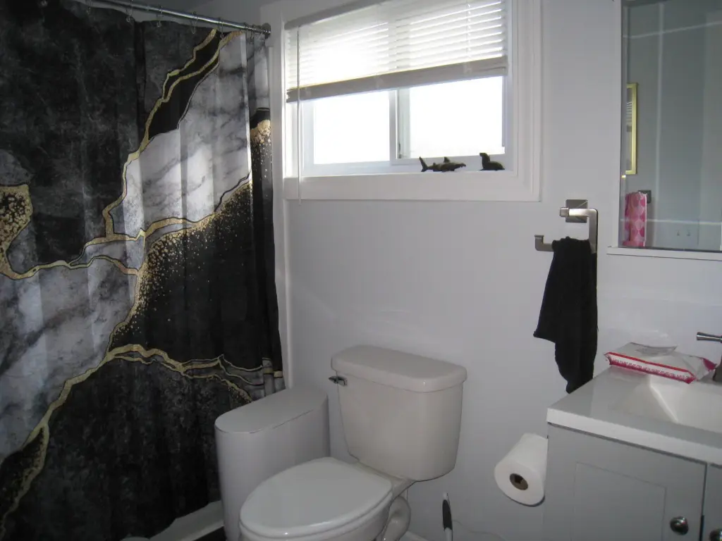 Picture 7