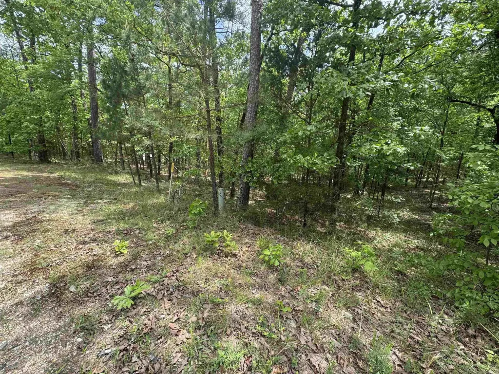 Picture 6
