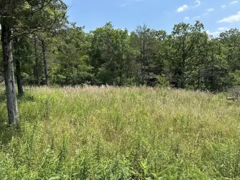 Residential Lot Near Table Rock