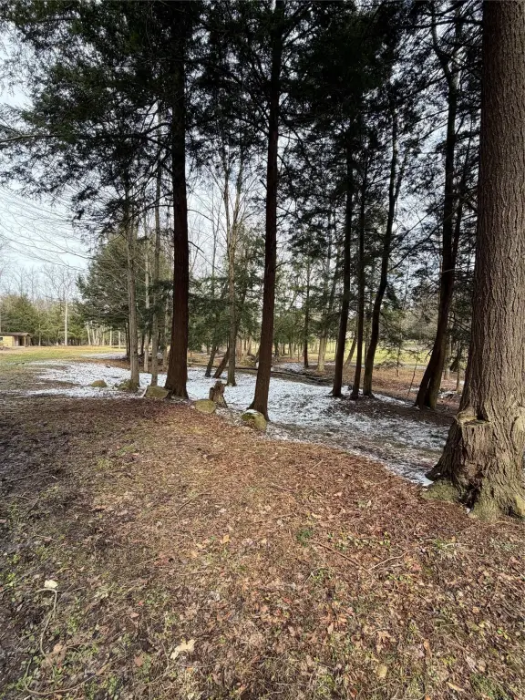 Picture 6