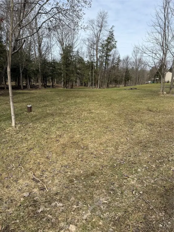 Picture 18