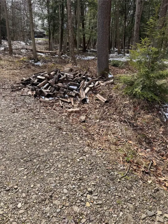 Picture 14