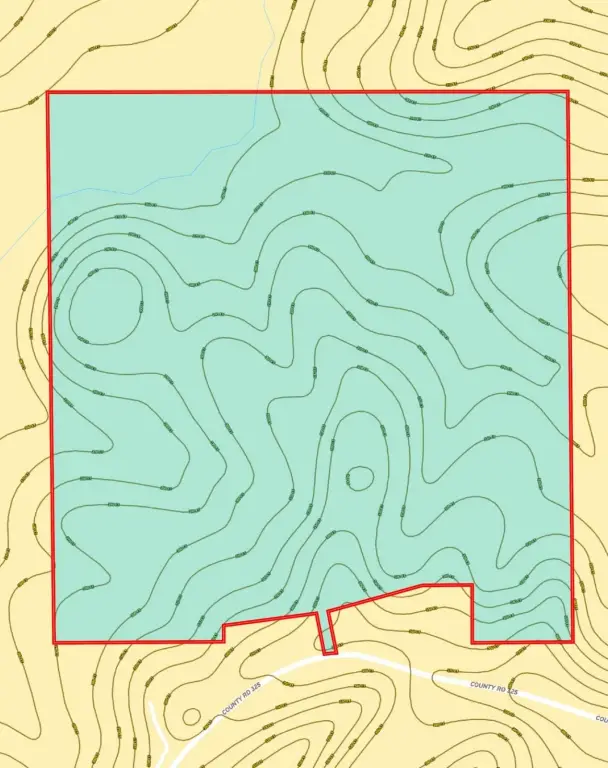 Picture 5
