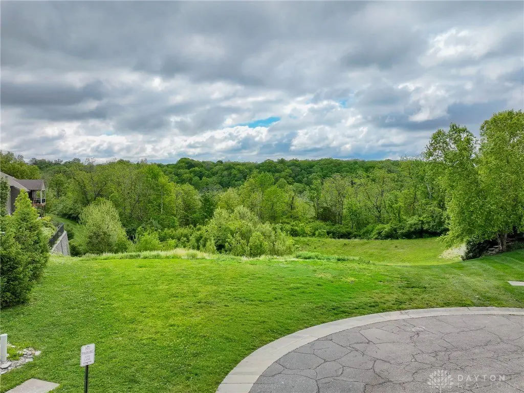 Picture 21