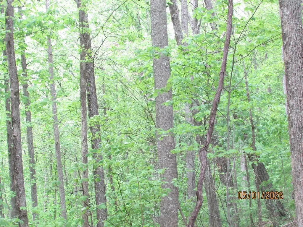 Picture 8