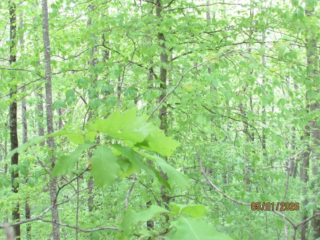 Picture 7