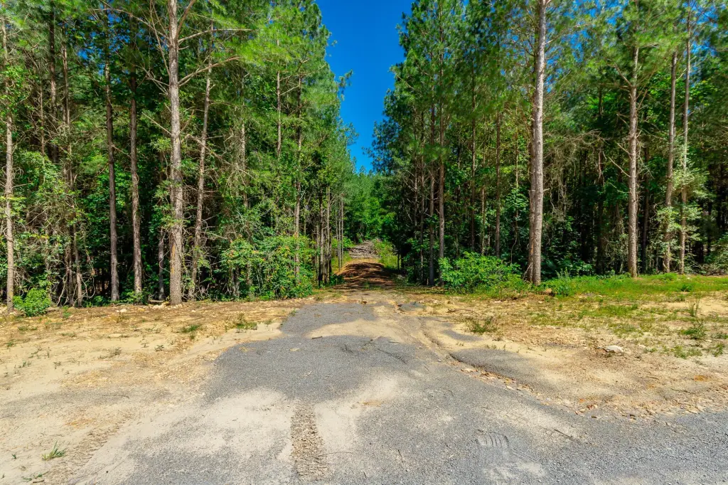 Picture 21