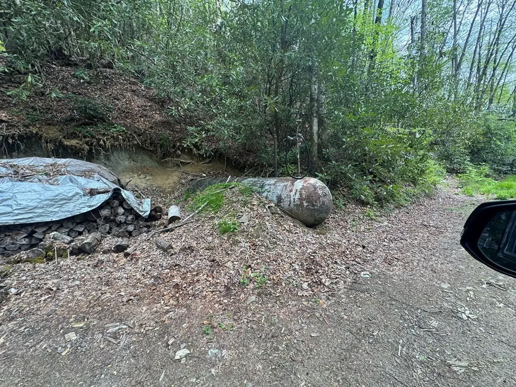 Picture 35
