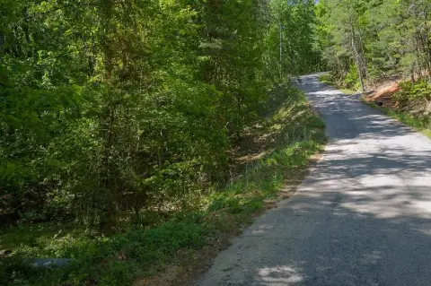 Wooded Homesite in Jasper, Georgia