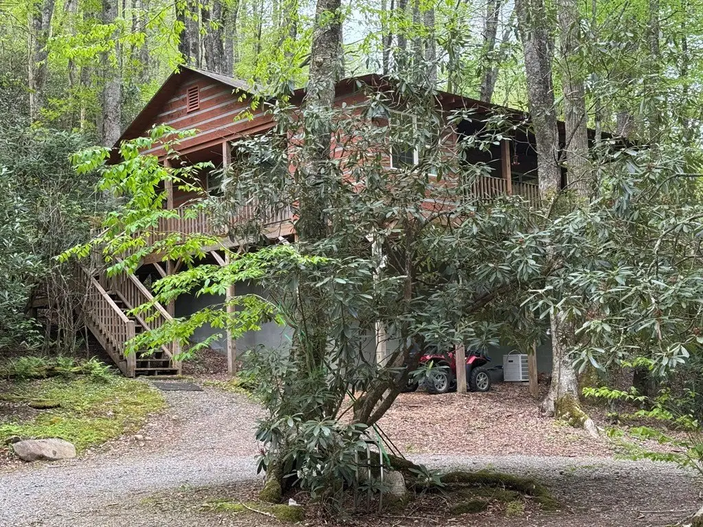 Picture 4