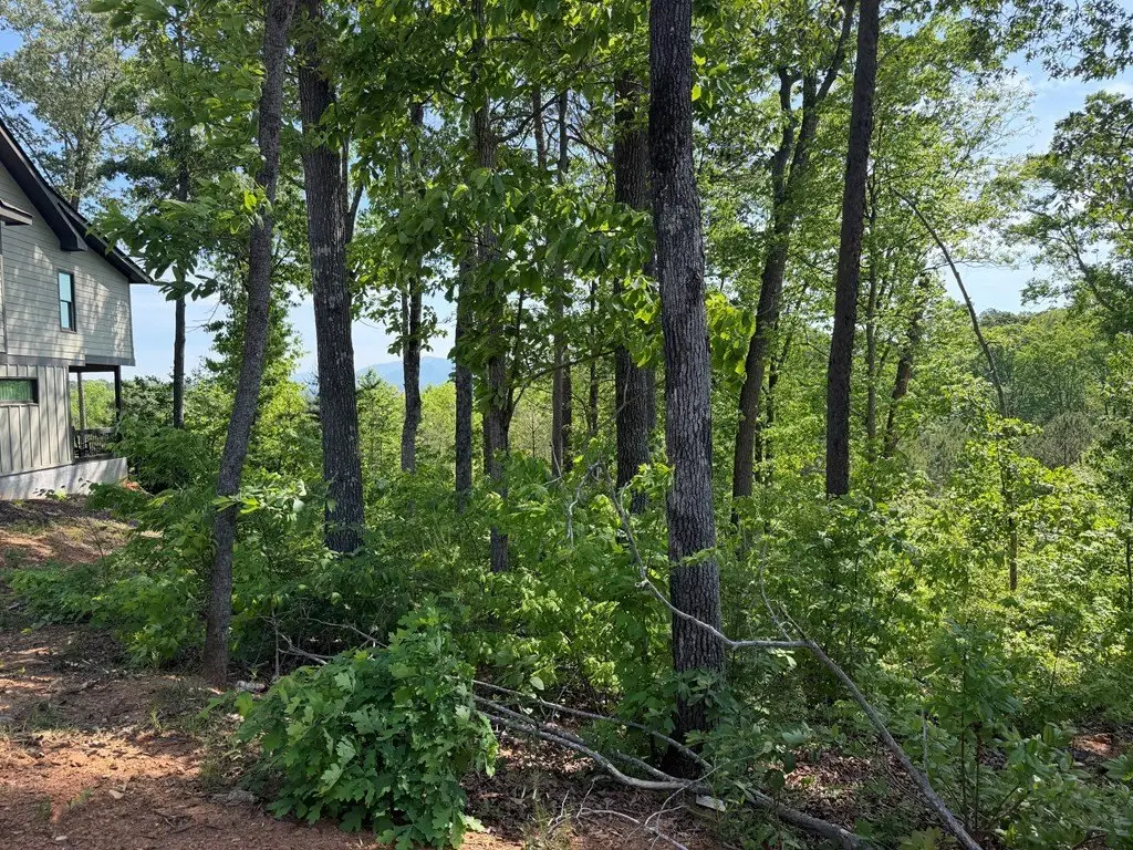 Picture 28