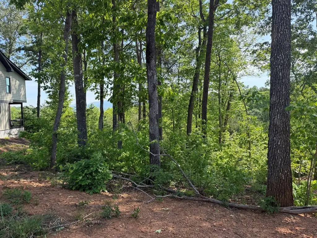 Picture 22
