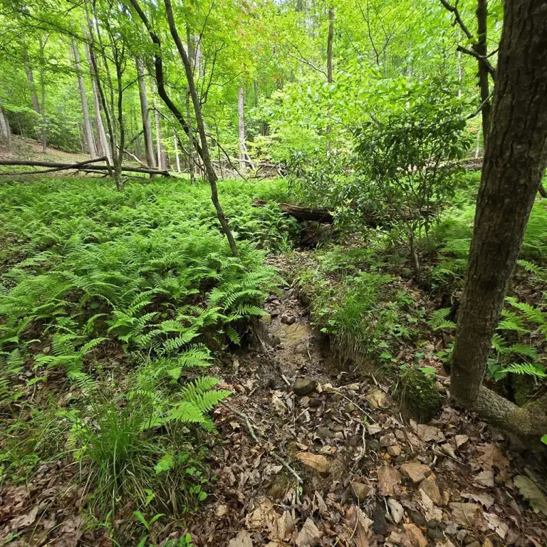 Picture 24