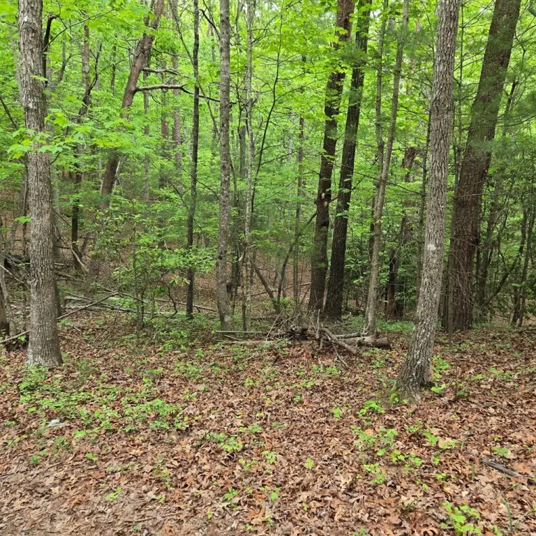 Picture 36