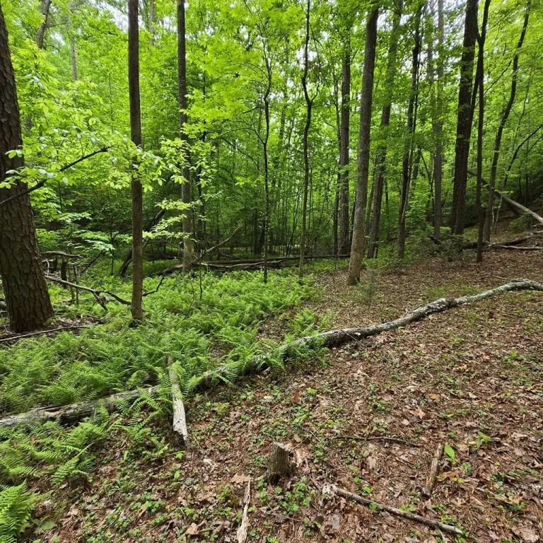 Picture 25