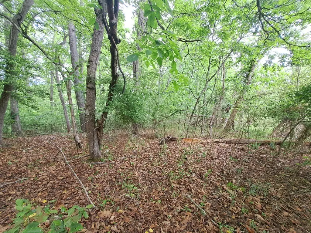 Picture 3