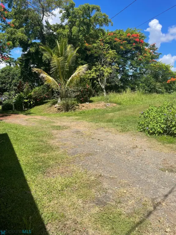 Picture 20