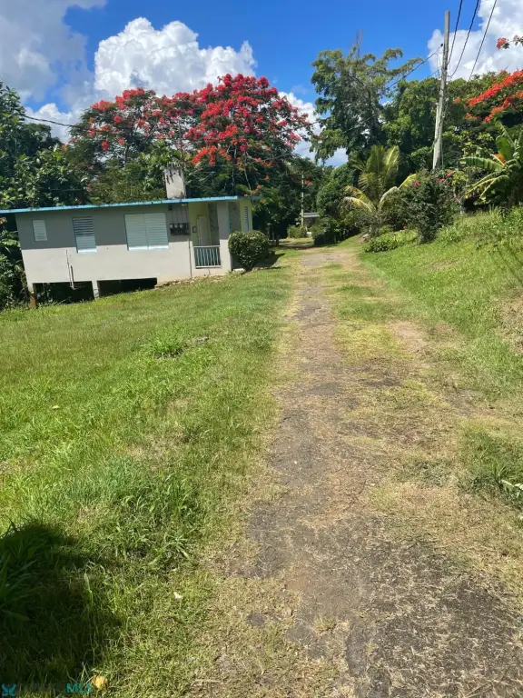 Picture 15