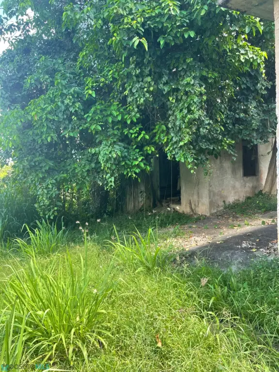 Picture 48