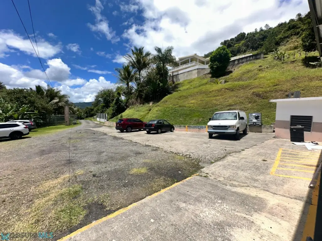 Picture 13