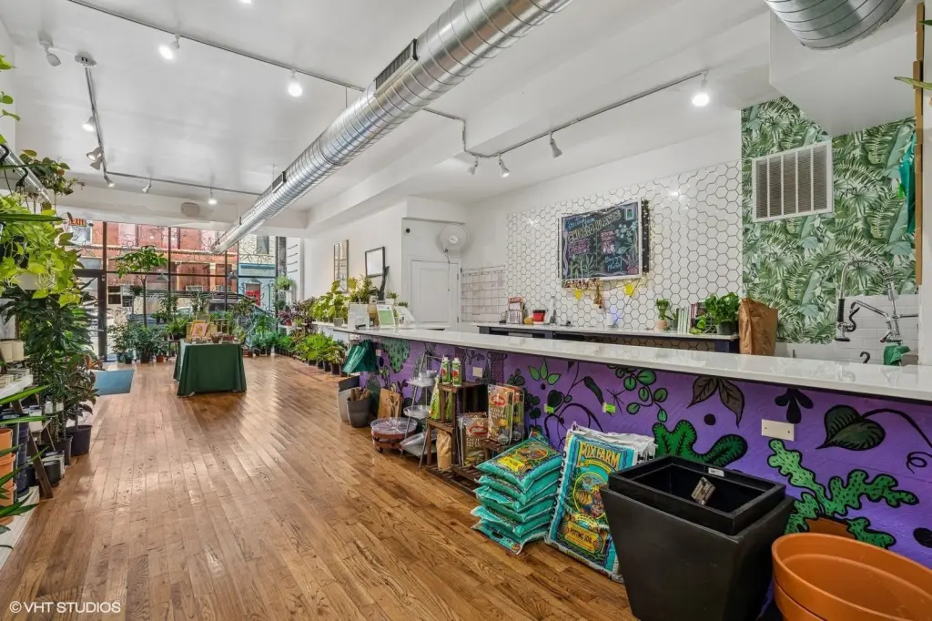Picture 9