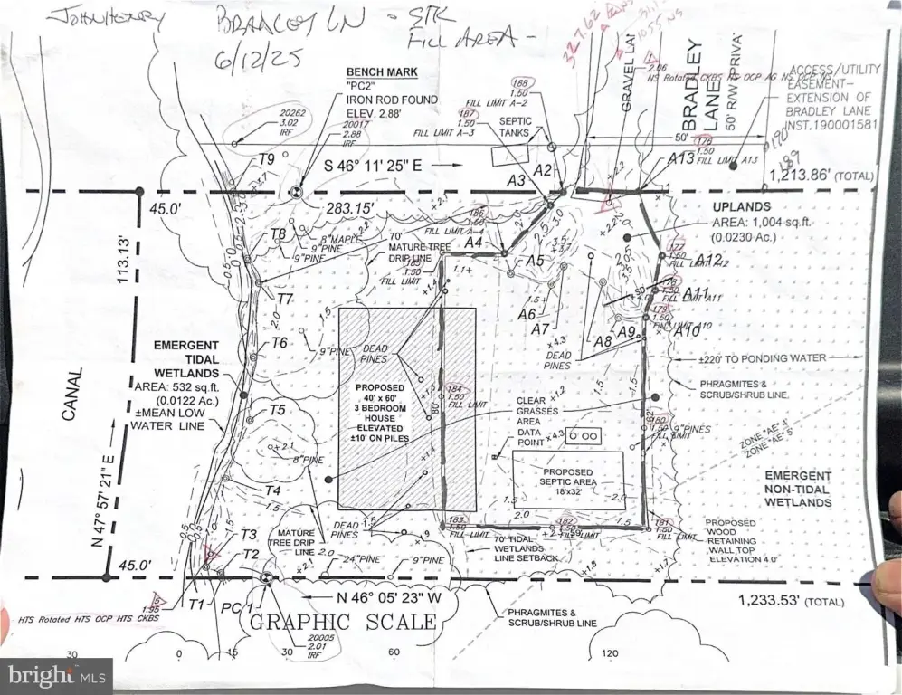 Picture 16