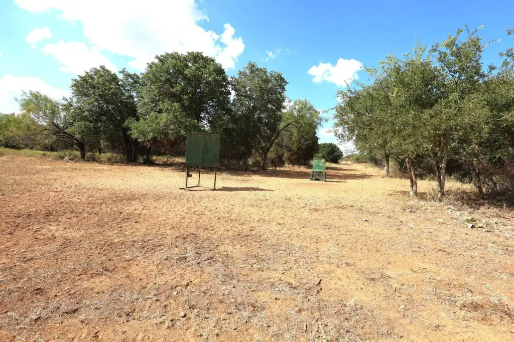 Picture 46