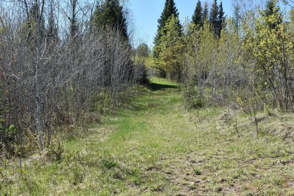 Picture 28
