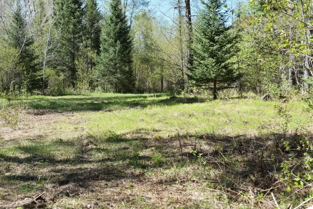 Picture 14