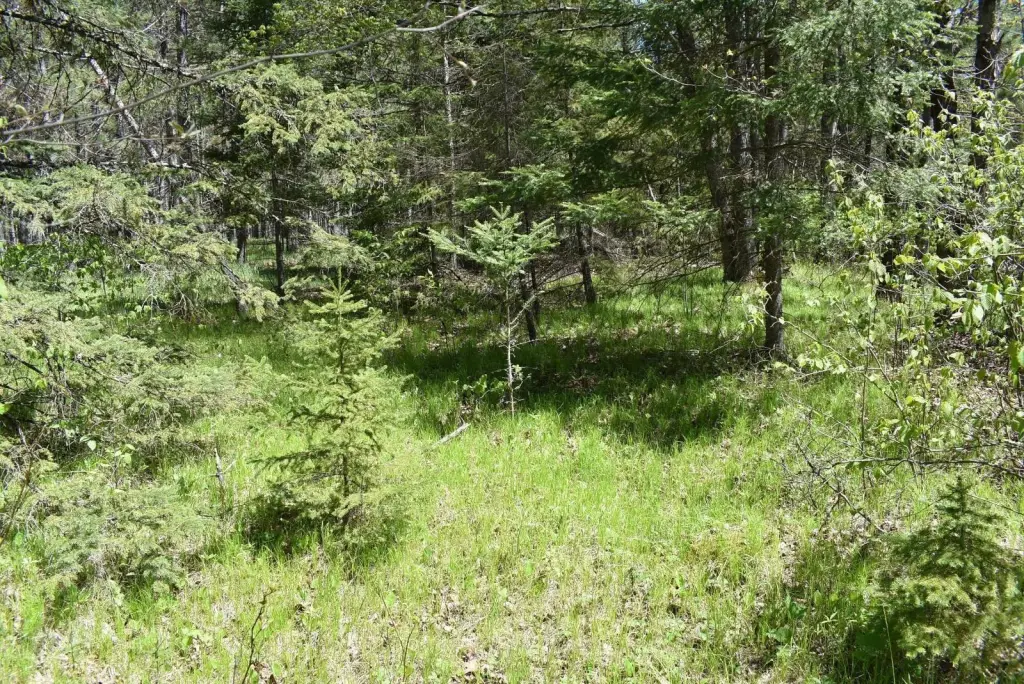 Picture 24